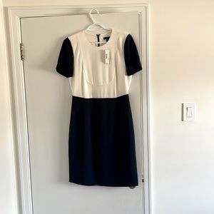 Knee length navy and white jcrew shift dress